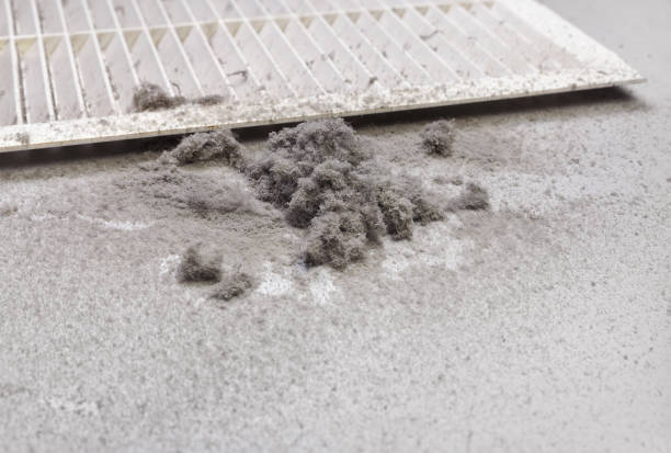 Best HVAC System Cleaning  in Ferris, TX